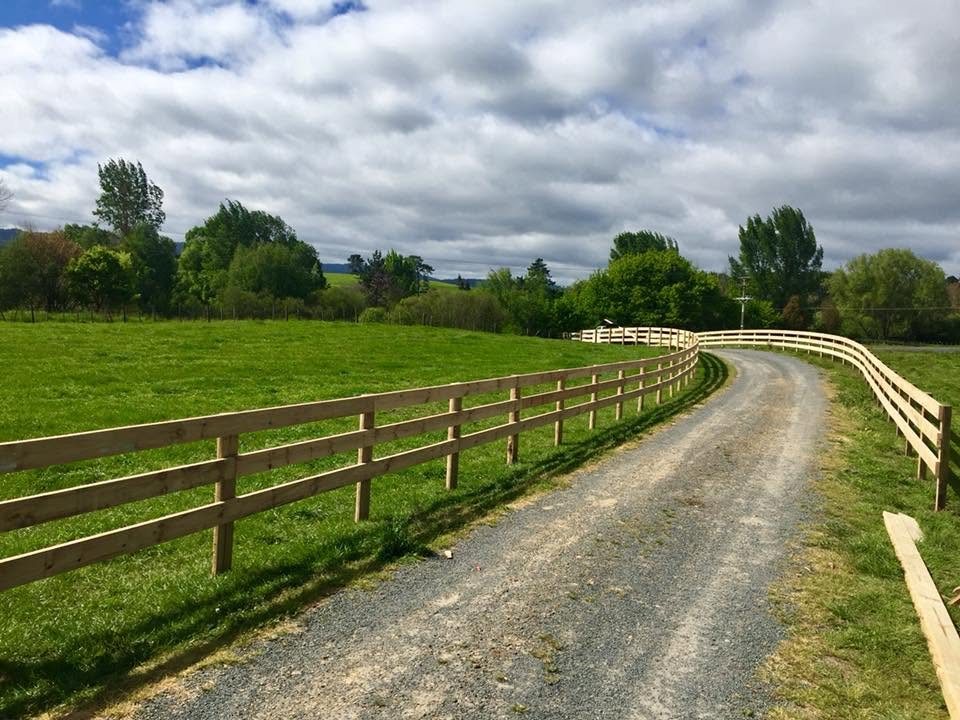 Timber post and rail fencing curving along a driveway across green Waikato pasture, built by JD Fencing