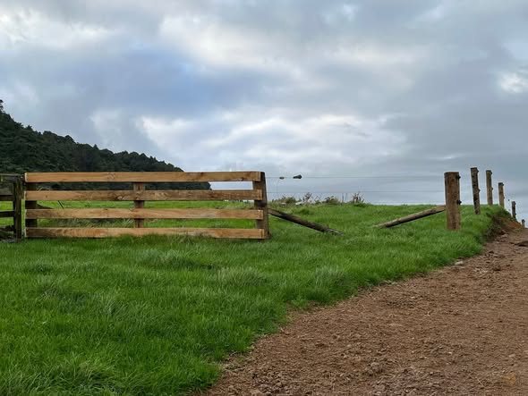 Fencing and rural construction work by JD Fencing across the Waikato