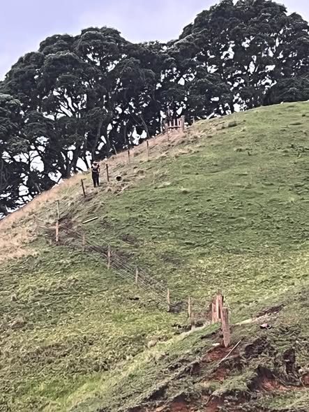 Black post and rail fencing on green pasture